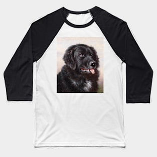 Newfoundland by Carl Reichert Baseball T-Shirt